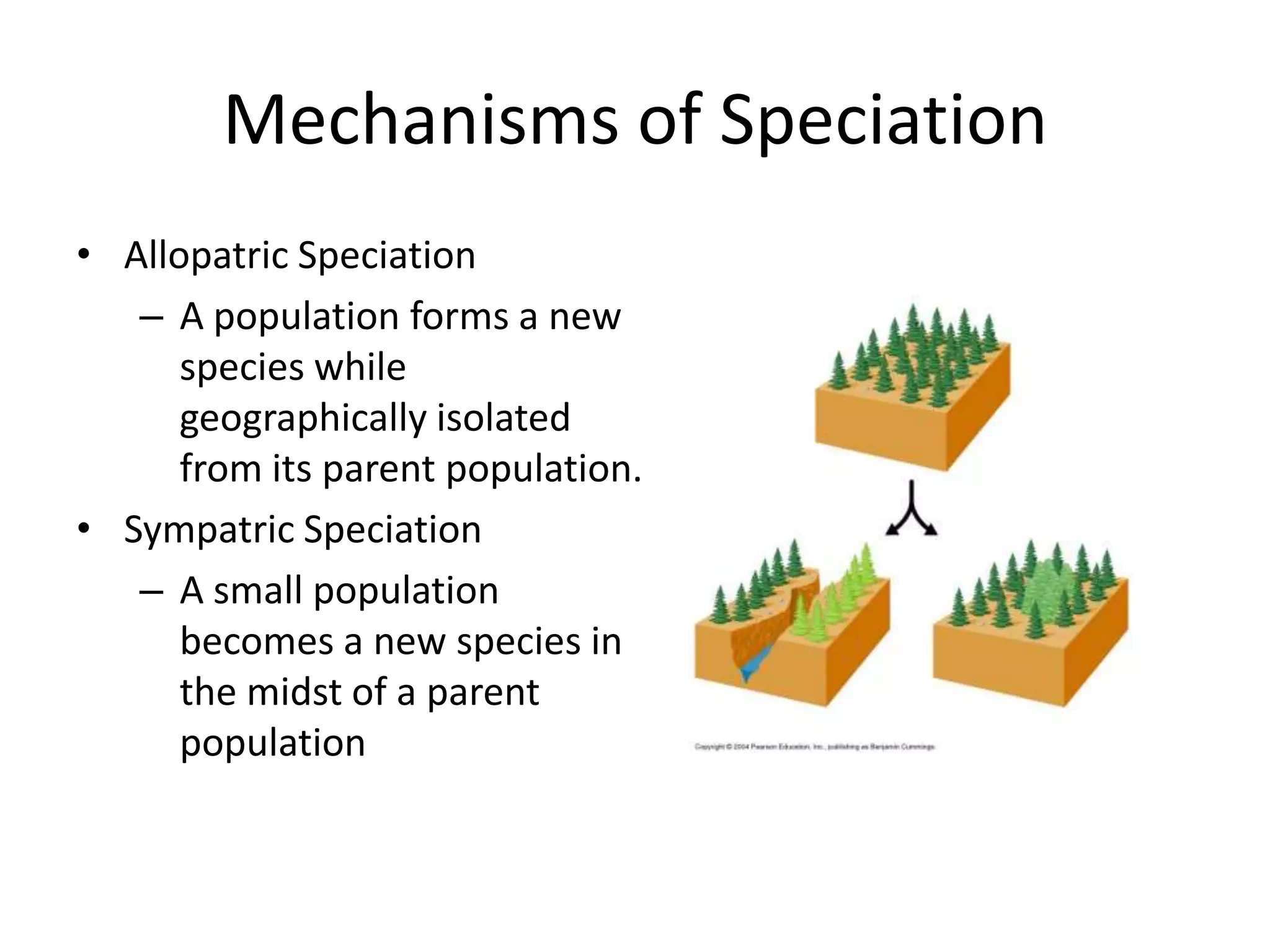 Mechanisms of Speciation
• Allopatric Speciation
   – A population forms a new
      species while
      geographically isolated
      from its parent population.
• Sympatric Speciation
   – A small population
      becomes a new species in
      the midst of a parent
      population
 