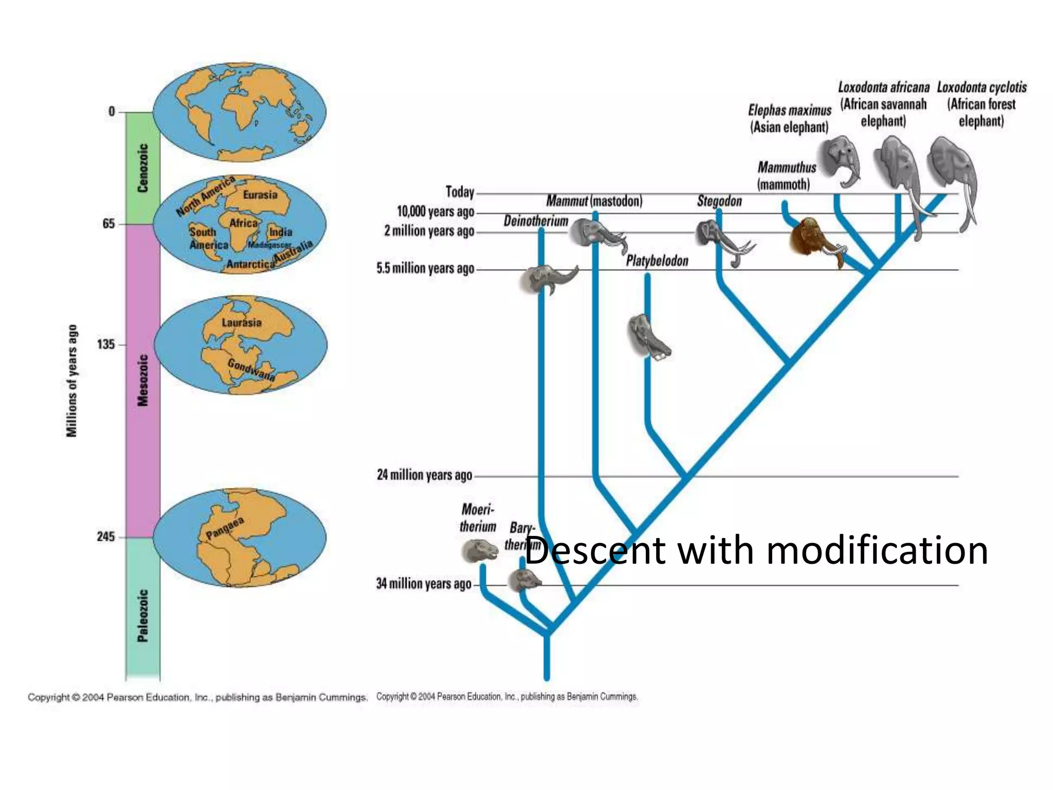 Descent with modification
 