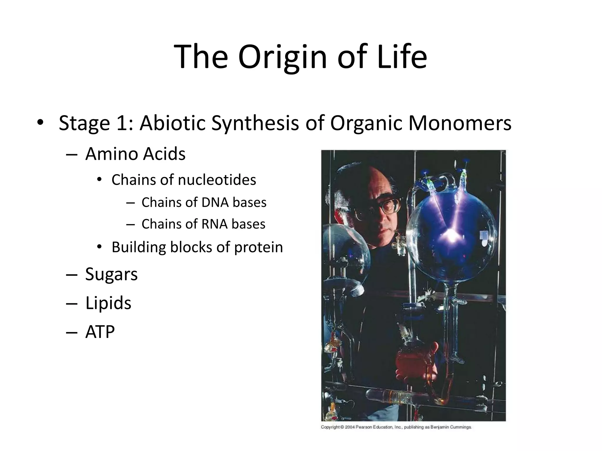 The Origin of Life
• Stage 1: Abiotic Synthesis of Organic Monomers
   – Amino Acids
      • Chains of nucleotides
          – Chains of DNA bases
          – Chains of RNA bases
      • Building blocks of protein
   – Sugars
   – Lipids
   – ATP
 