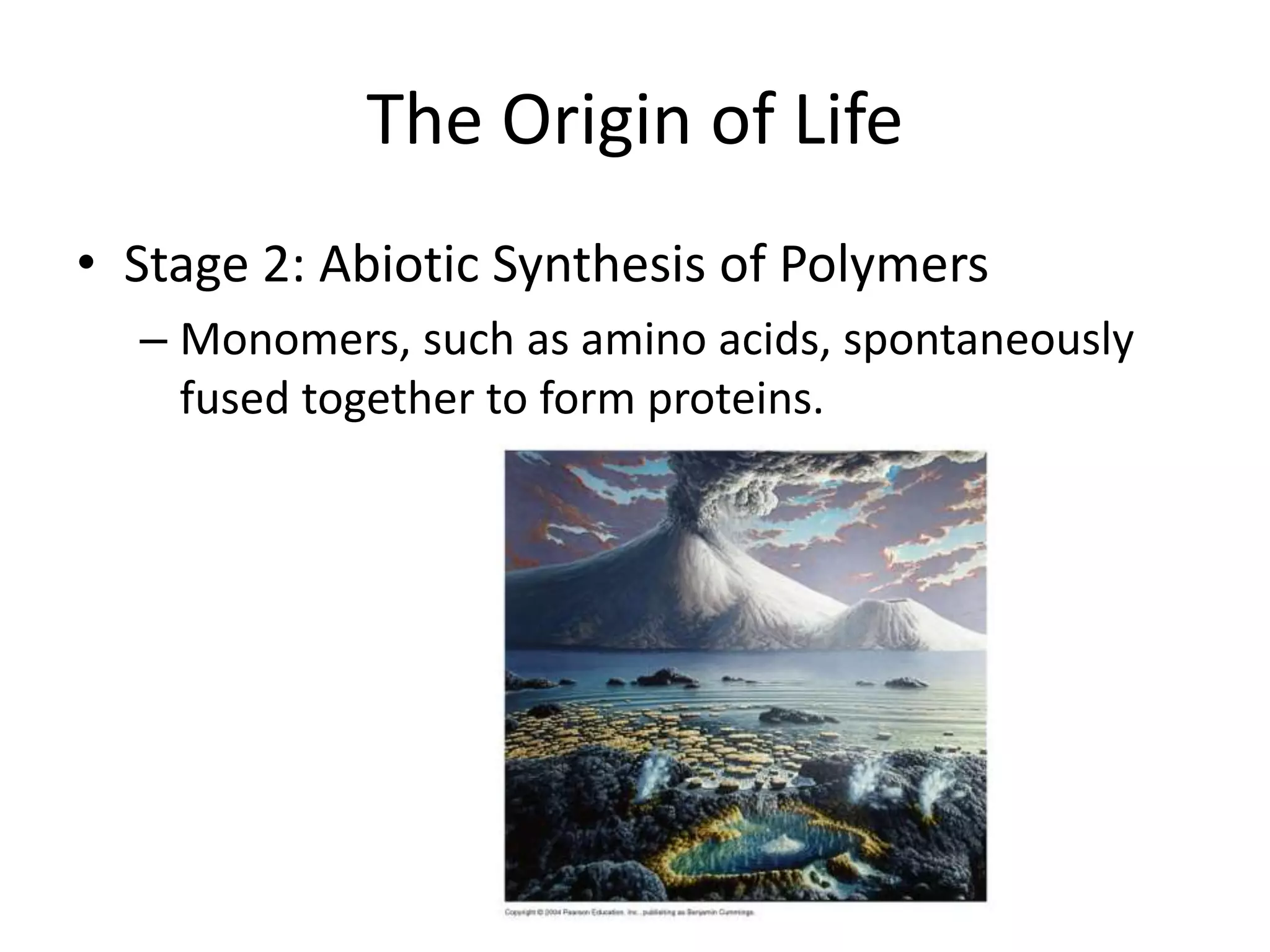 The Origin of Life
• Stage 2: Abiotic Synthesis of Polymers
  – Monomers, such as amino acids, spontaneously
    fused together to form proteins.
 