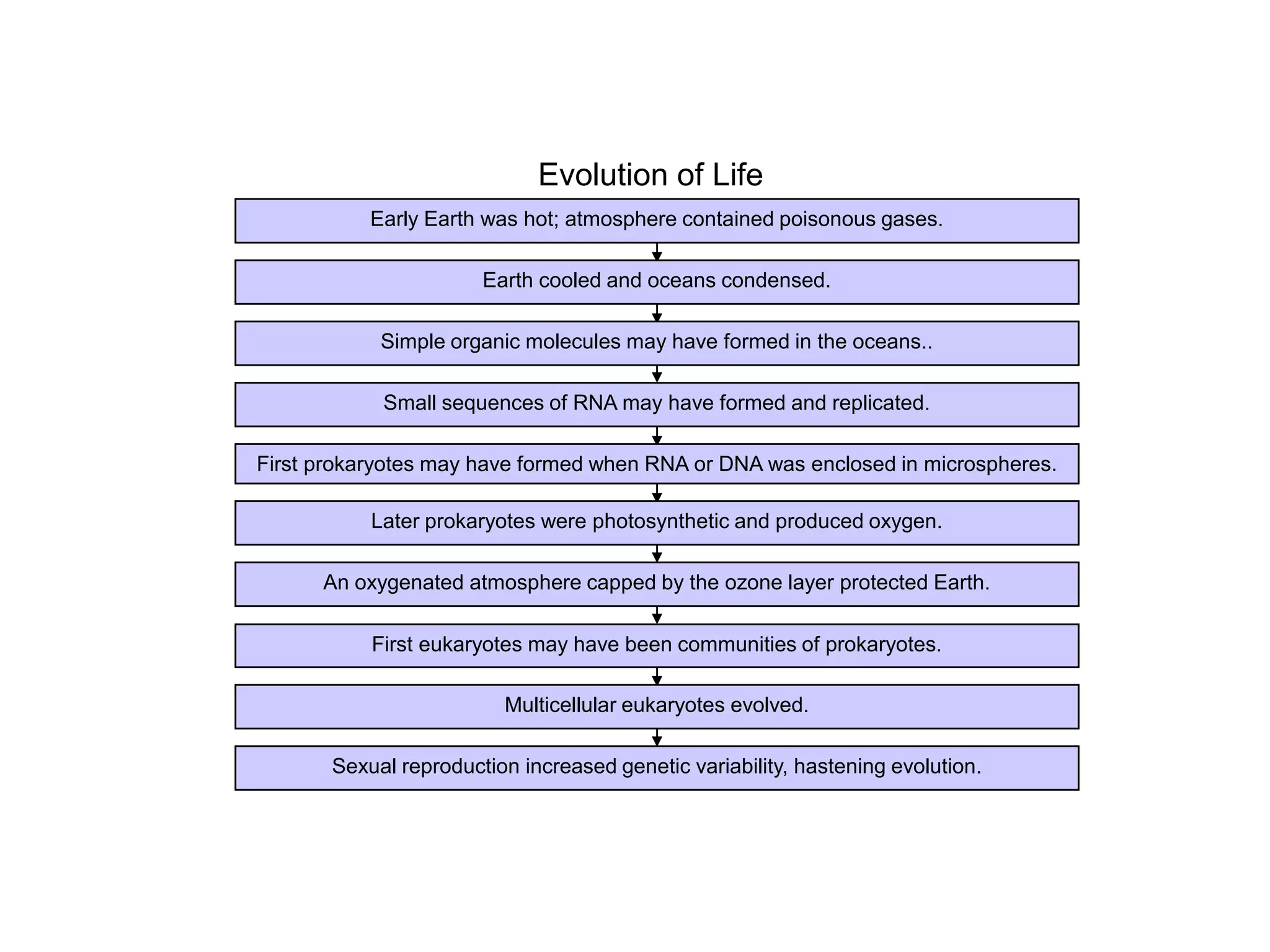 Concept Map
Section 17-2
                                      Evolution of Life
                    Early Earth was hot; atmosphere contained poisonous gases.

                                Earth cooled and oceans condensed.

                     Simple organic molecules may have formed in the oceans..

                     Small sequences of RNA may have formed and replicated.

         First prokaryotes may have formed when RNA or DNA was enclosed in microspheres.

                    Later prokaryotes were photosynthetic and produced oxygen.

               An oxygenated atmosphere capped by the ozone layer protected Earth.

                    First eukaryotes may have been communities of prokaryotes.

                                  Multicellular eukaryotes evolved.

                Sexual reproduction increased genetic variability, hastening evolution.
 