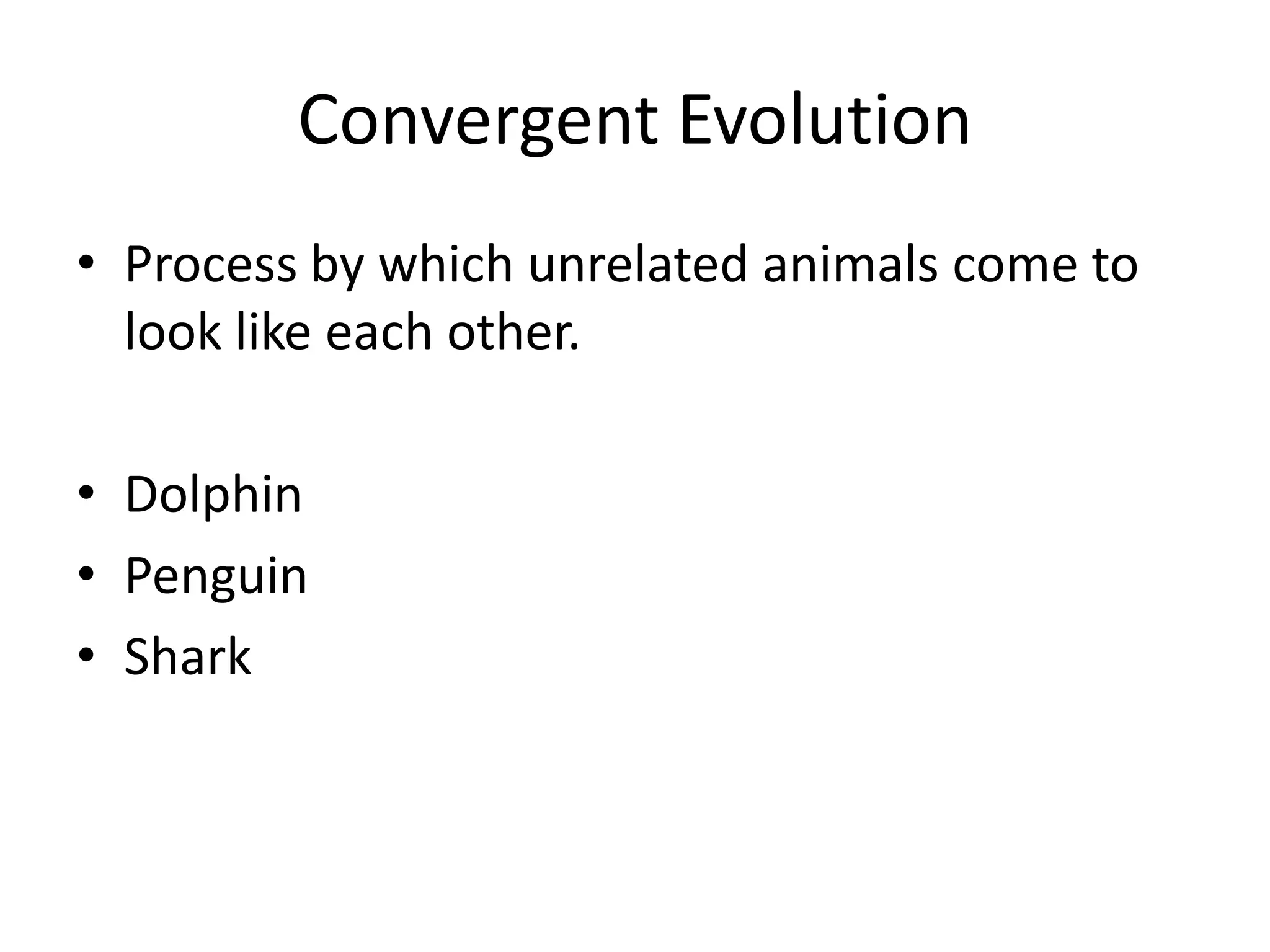 Convergent Evolution
• Process by which unrelated animals come to
  look like each other.

• Dolphin
• Penguin
• Shark
 