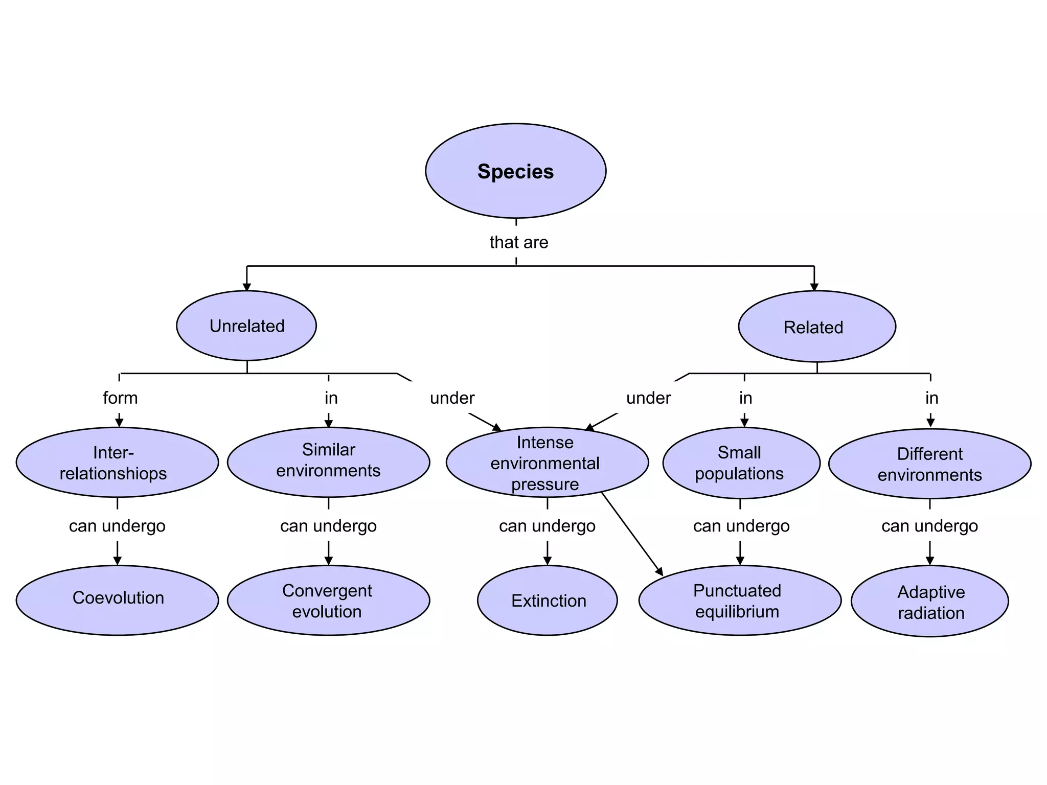 Flowchart
      Section 17-4


                                               Species


                                                that are



                 Unrelated                                                            Related



     form                     in       under                    under        in                      in

                           Similar                 Intense
     Inter-                                                               Small                   Different
                        environments            environmental
relationshiops                                                          populations             environments
                                                  pressure

 can undergo             can undergo             can undergo            can undergo             can undergo



 Coevolution             Convergent                                     Punctuated                Adaptive
                                                  Extinction
                          evolution                                     equilibrium               radiation
 
