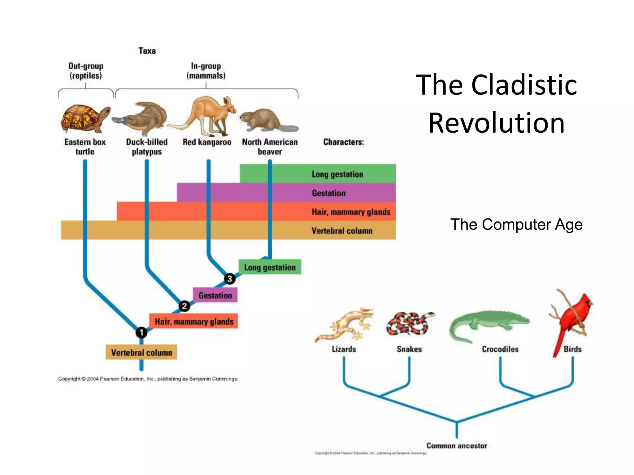 The Cladistic
 Revolution


  The Computer Age
 