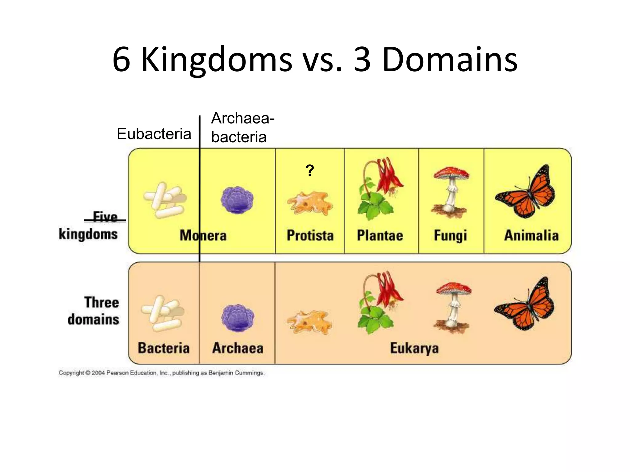 6 Kingdoms vs. 3 Domains
             Archaea-
Eubacteria   bacteria

                        ?
 