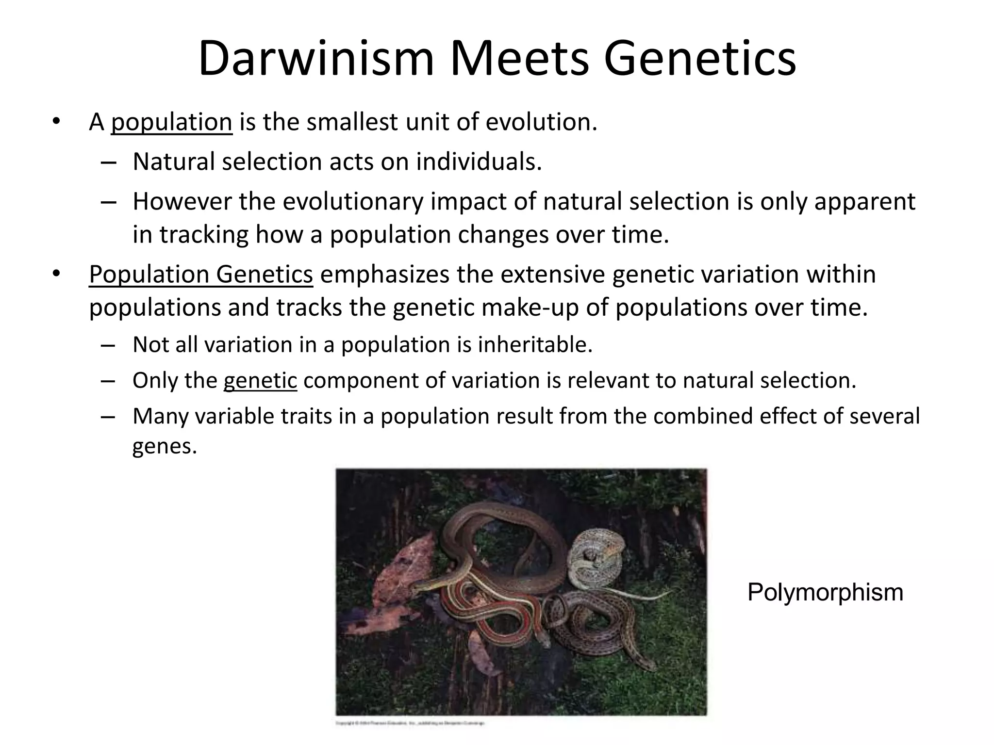 Darwinism Meets Genetics
• A population is the smallest unit of evolution.
   – Natural selection acts on individuals.
   – However the evolutionary impact of natural selection is only apparent
     in tracking how a population changes over time.
• Population Genetics emphasizes the extensive genetic variation within
  populations and tracks the genetic make-up of populations over time.
    – Not all variation in a population is inheritable.
    – Only the genetic component of variation is relevant to natural selection.
    – Many variable traits in a population result from the combined effect of several
      genes.




                                                                   Polymorphism
 
