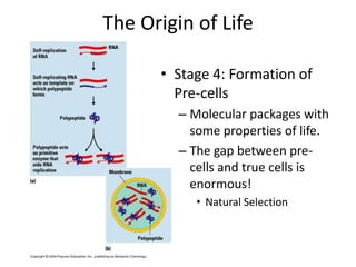 Pre Cell Evolutionary Theory | PPTX