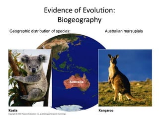 Evolution In Geography Evolutionary Theory | PPTX