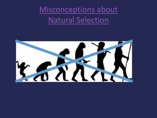 Misconceptions about
Natural Selection
 