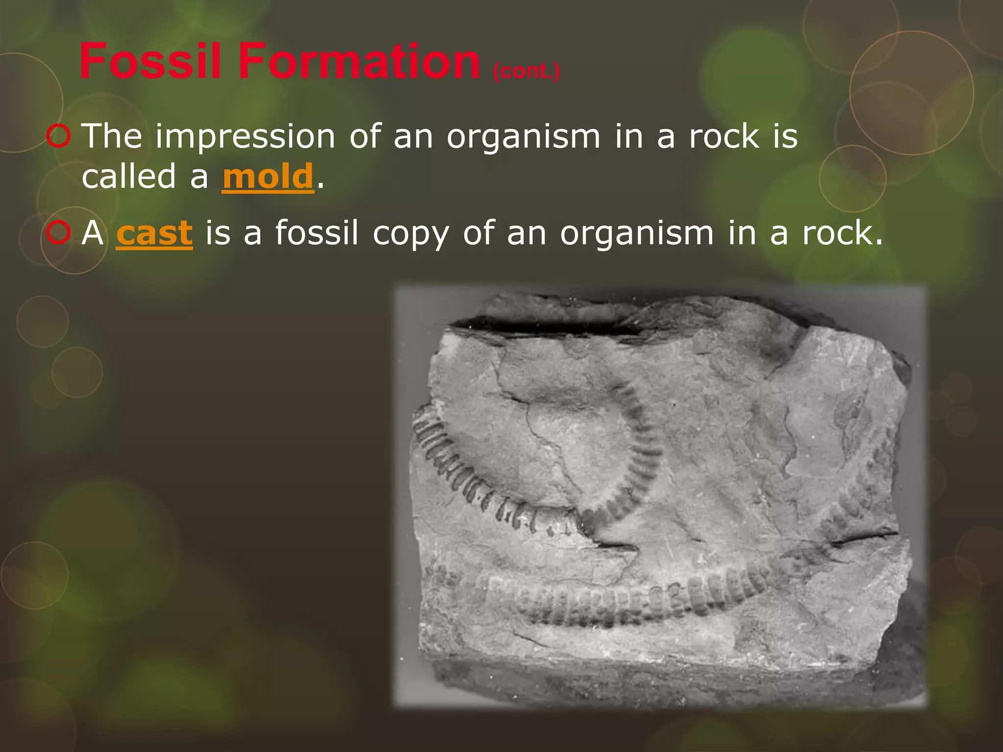  The impression of an organism in a rock is
called a mold.
 A cast is a fossil copy of an organism in a rock.
Fossil Formation (cont.)
 