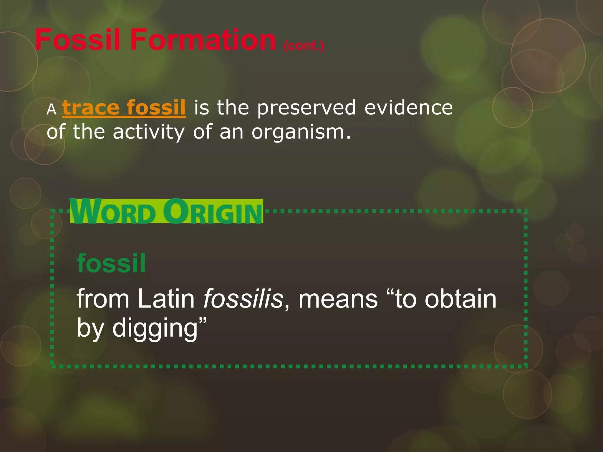 A trace fossil is the preserved evidence
of the activity of an organism.
Fossil Formation (cont.)
fossil
from Latin fossilis, means “to obtain
by digging”
 
