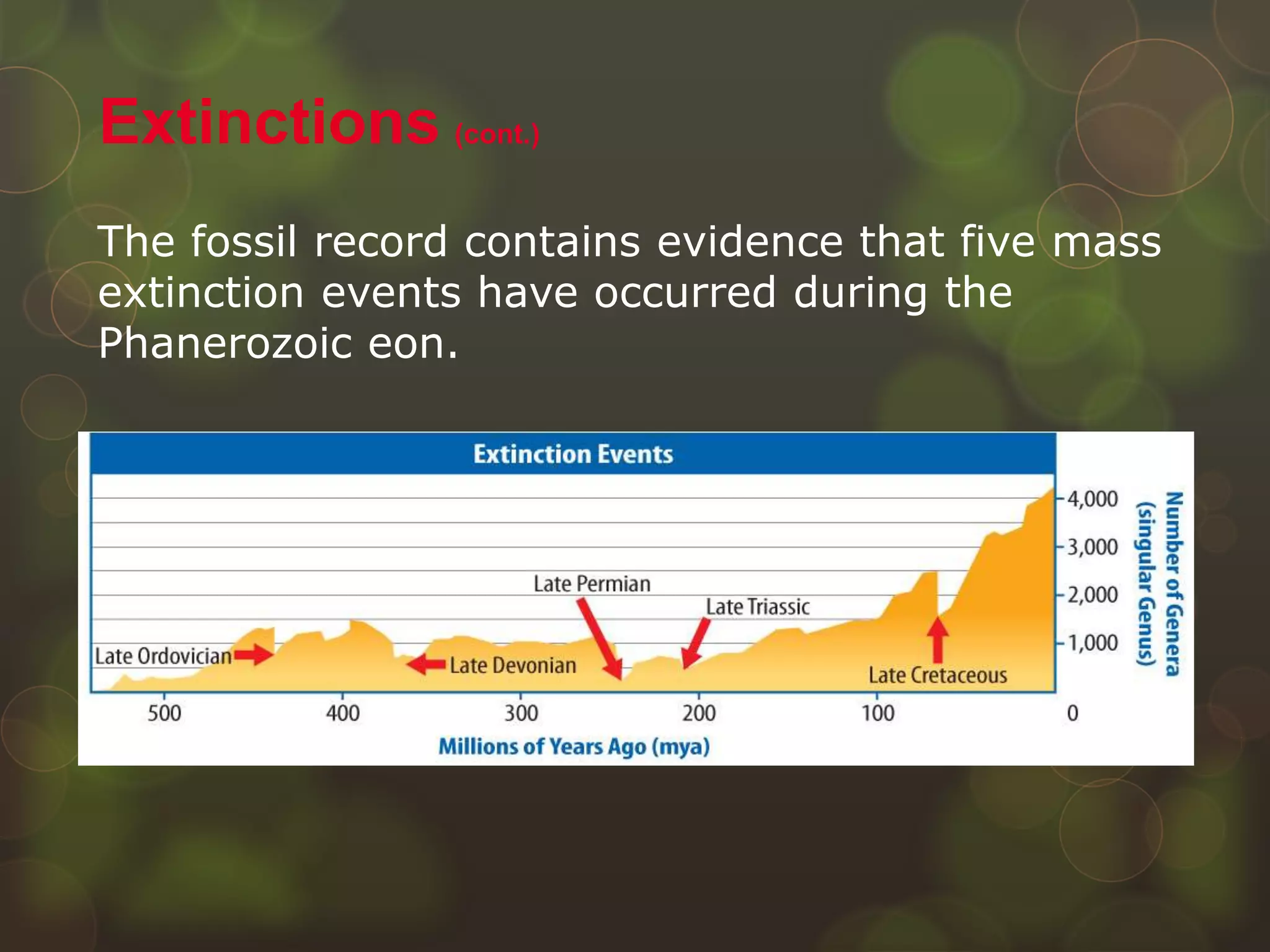 The fossil record contains evidence that five mass
extinction events have occurred during the
Phanerozoic eon.
Extinctions (cont.)
 