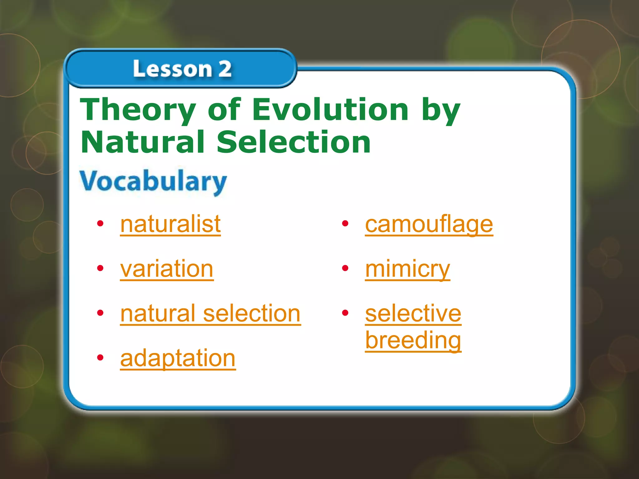 • naturalist
• variation
• natural selection
• adaptation
Theory of Evolution by
Natural Selection
• camouflage
• mimicry
• selective
breeding
 