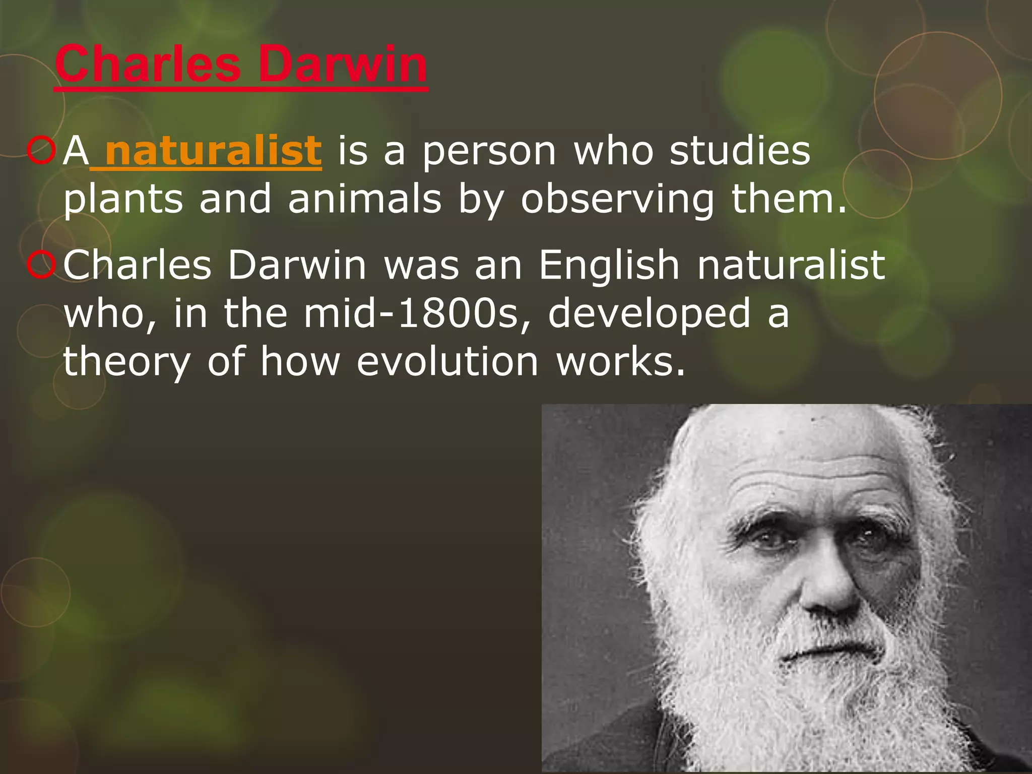 A naturalist is a person who studies
plants and animals by observing them.
Charles Darwin was an English naturalist
who, in the mid-1800s, developed a
theory of how evolution works.
Charles Darwin
 