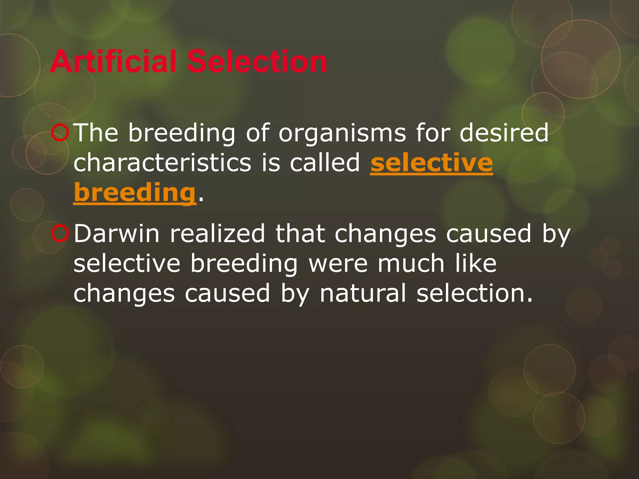 The breeding of organisms for desired
characteristics is called selective
breeding.
Darwin realized that changes caused by
selective breeding were much like
changes caused by natural selection.
Artificial Selection
 