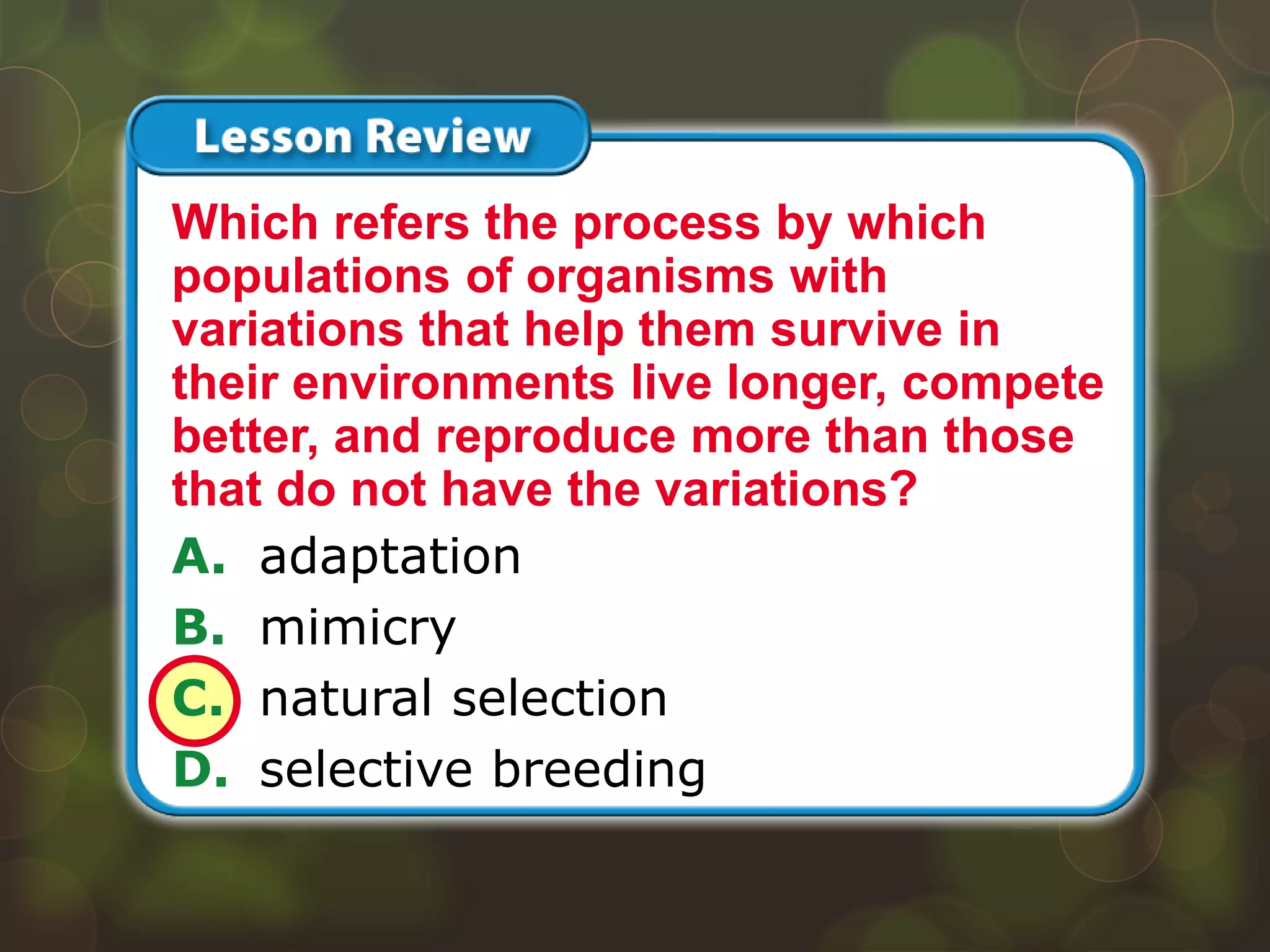 Lesson 2 – LR1
A. adaptation
B. mimicry
C. natural selection
D. selective breeding
Which refers the process by which
populations of organisms with
variations that help them survive in
their environments live longer, compete
better, and reproduce more than those
that do not have the variations?
 