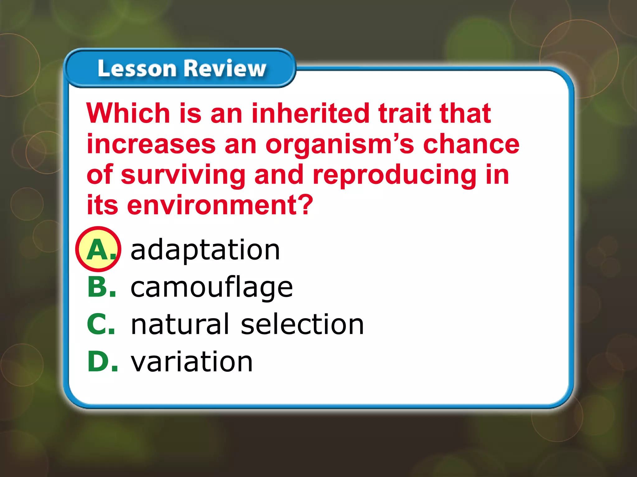 Lesson 2 – LR2
A. adaptation
B. camouflage
C. natural selection
D. variation
Which is an inherited trait that
increases an organism’s chance
of surviving and reproducing in
its environment?
 