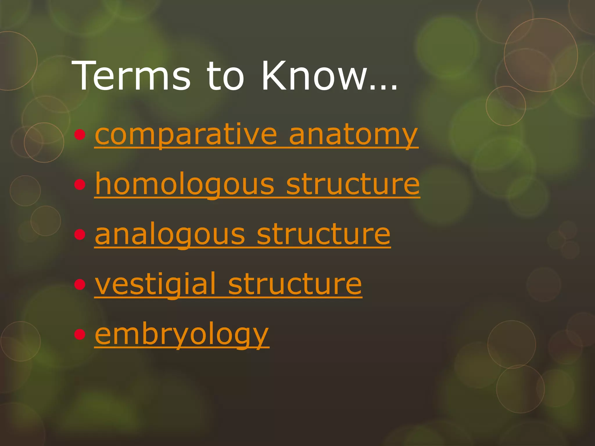 Terms to Know…
• comparative anatomy
• homologous structure
• analogous structure
• vestigial structure
• embryology
 