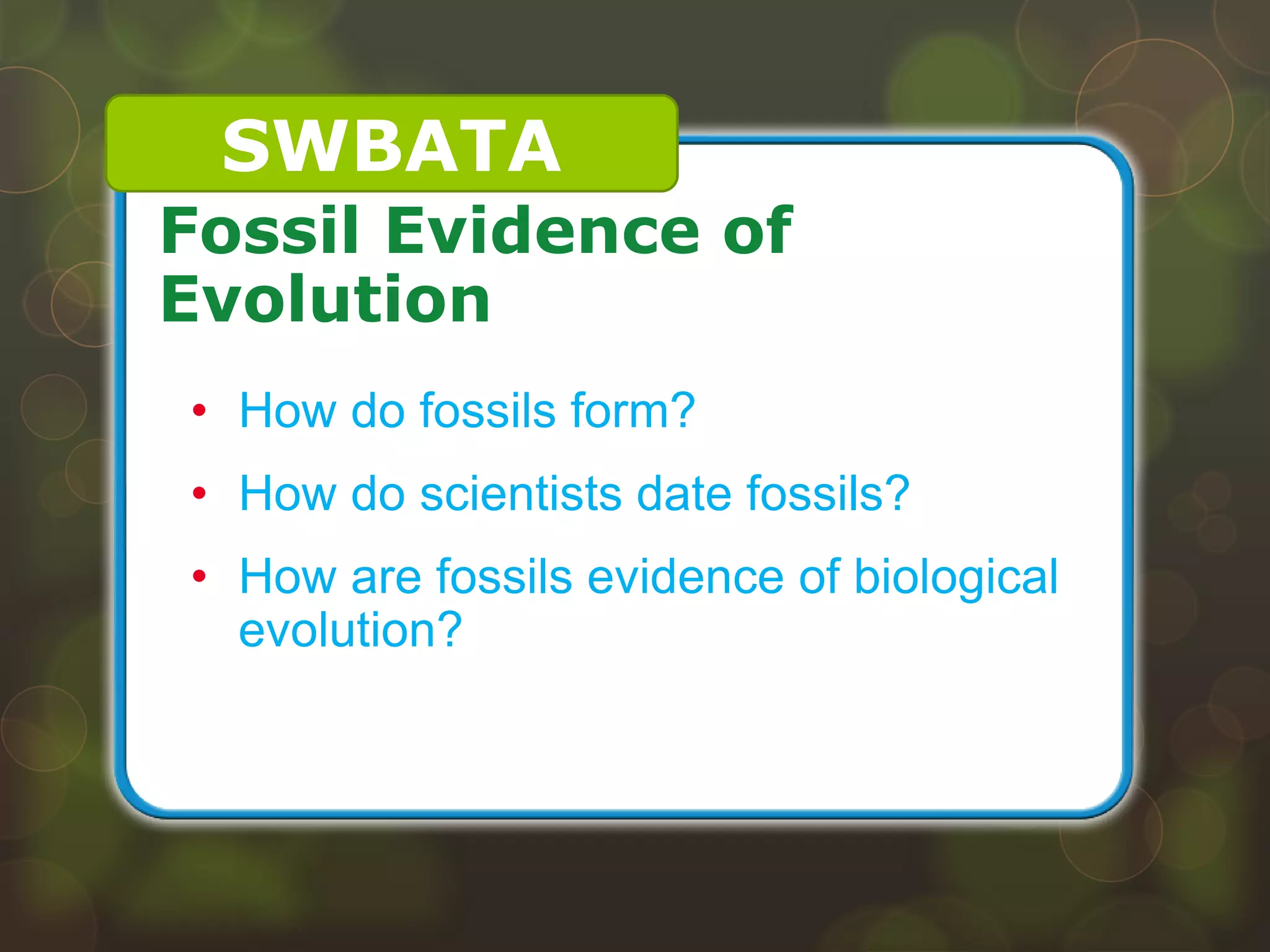 • How do fossils form?
• How do scientists date fossils?
• How are fossils evidence of biological
evolution?
Fossil Evidence of
Evolution
SWBATA
 
