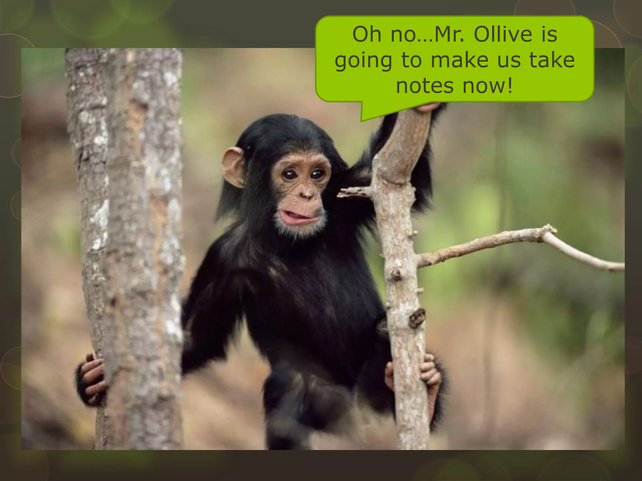 Oh no…Mr. Ollive is
going to make us take
notes now!
 