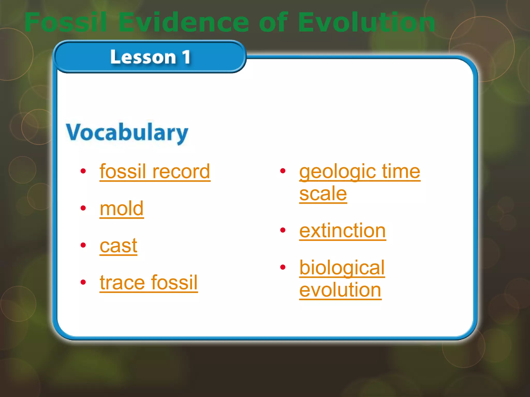 • fossil record
• mold
• cast
• trace fossil
Fossil Evidence of Evolution
• geologic time
scale
• extinction
• biological
evolution
 