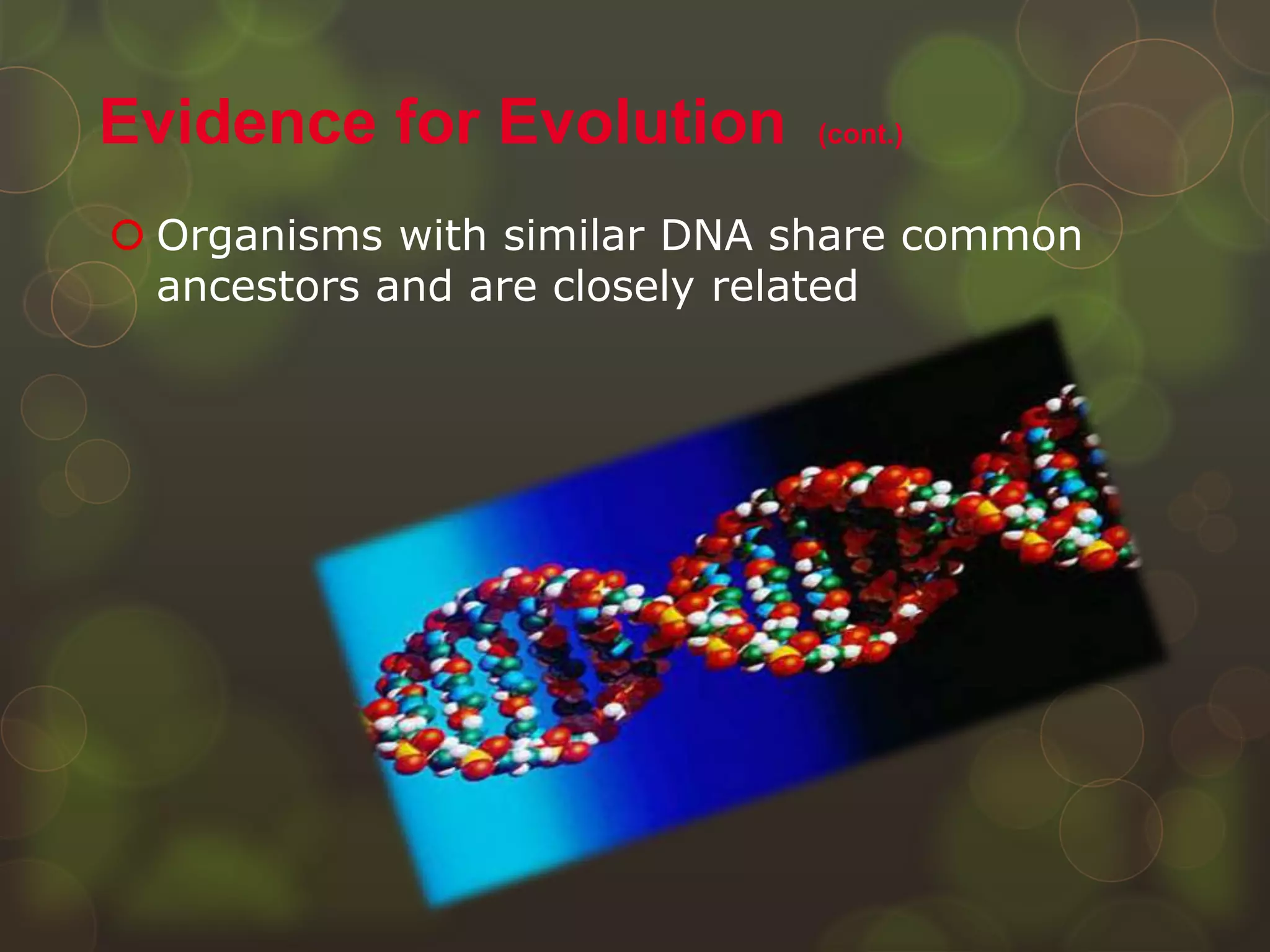  Organisms with similar DNA share common
ancestors and are closely related
Evidence for Evolution (cont.)
 