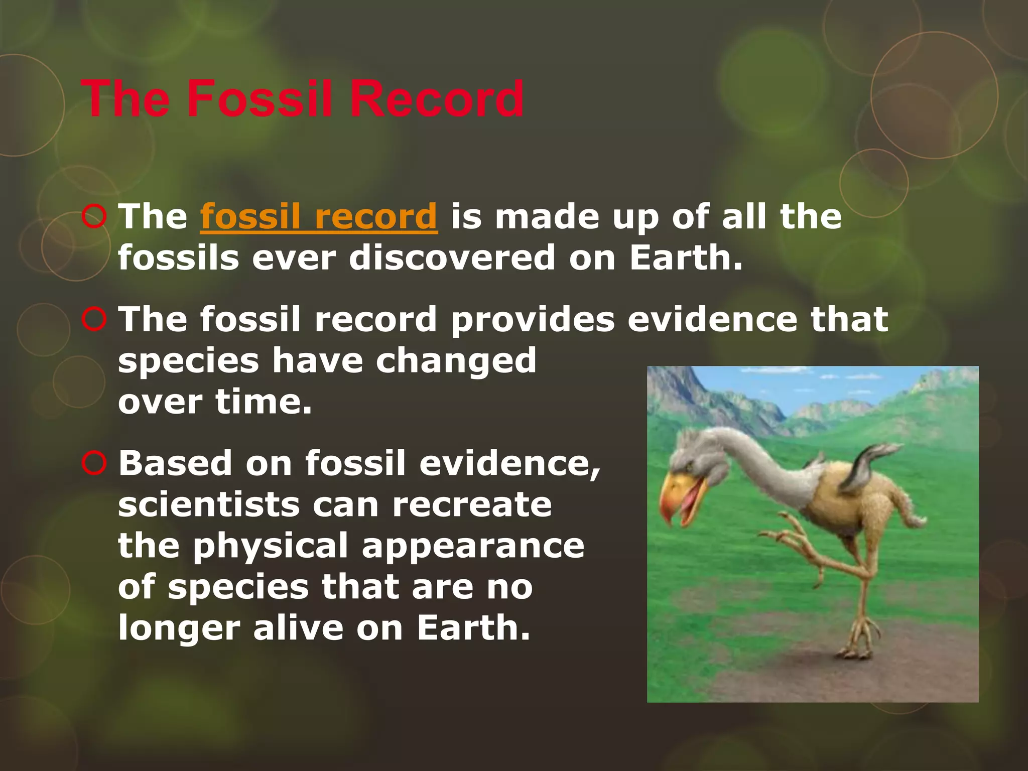  The fossil record is made up of all the
fossils ever discovered on Earth.
 The fossil record provides evidence that
species have changed
over time.
 Based on fossil evidence,
scientists can recreate
the physical appearance
of species that are no
longer alive on Earth.
The Fossil Record
 