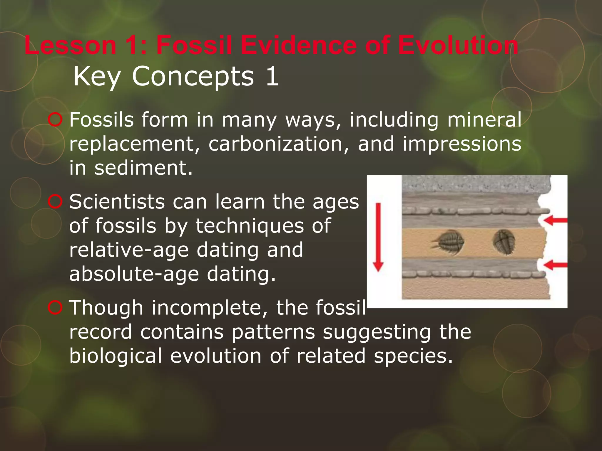 Key Concepts 1
 Fossils form in many ways, including mineral
replacement, carbonization, and impressions
in sediment.
 Scientists can learn the ages
of fossils by techniques of
relative-age dating and
absolute-age dating.
 Though incomplete, the fossil
record contains patterns suggesting the
biological evolution of related species.
Lesson 1: Fossil Evidence of Evolution
 