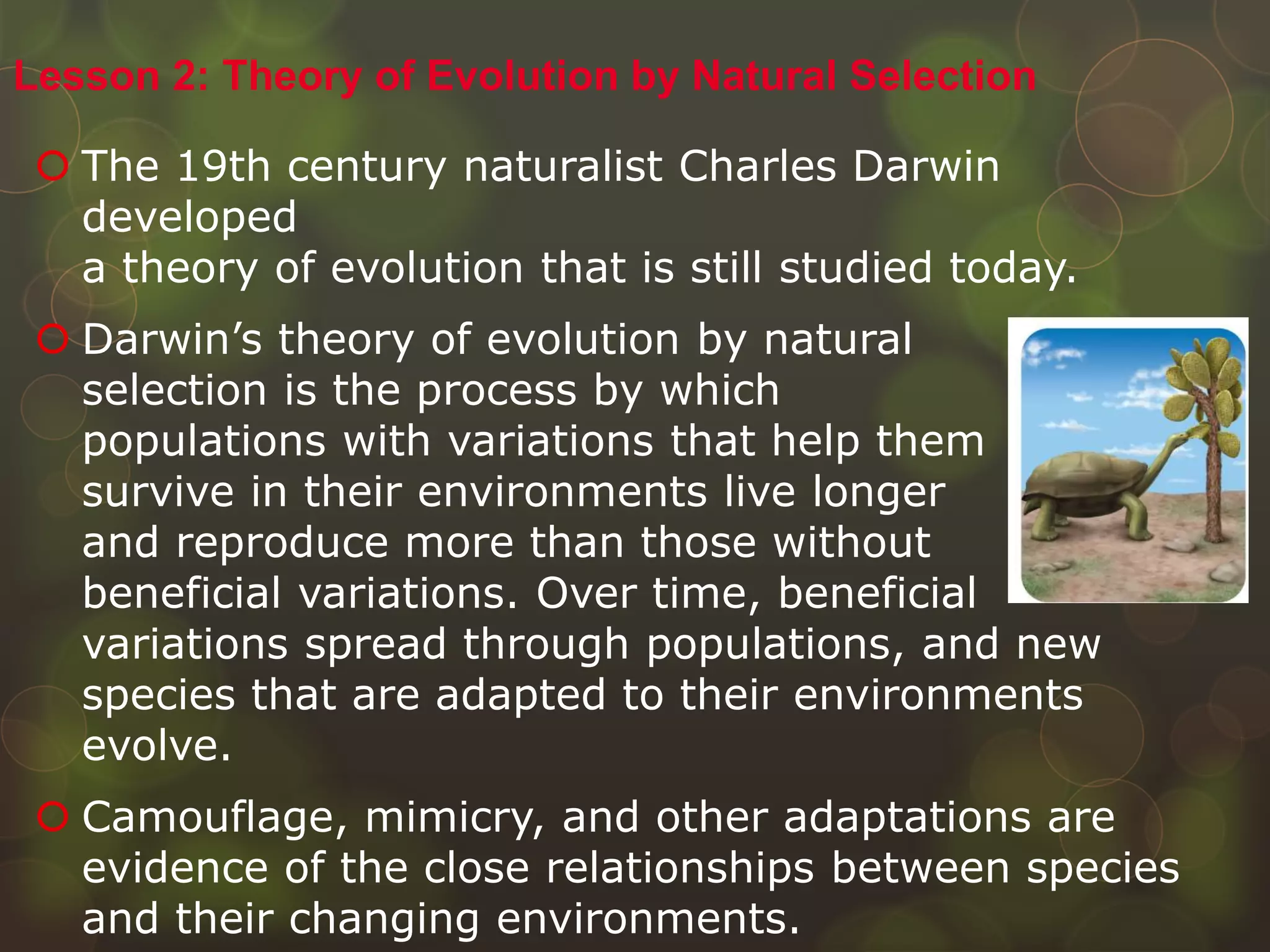  The 19th century naturalist Charles Darwin
developed
a theory of evolution that is still studied today.
 Darwin’s theory of evolution by natural
selection is the process by which
populations with variations that help them
survive in their environments live longer
and reproduce more than those without
beneficial variations. Over time, beneficial
variations spread through populations, and new
species that are adapted to their environments
evolve.
 Camouflage, mimicry, and other adaptations are
evidence of the close relationships between species
and their changing environments.
Lesson 2: Theory of Evolution by Natural Selection
 