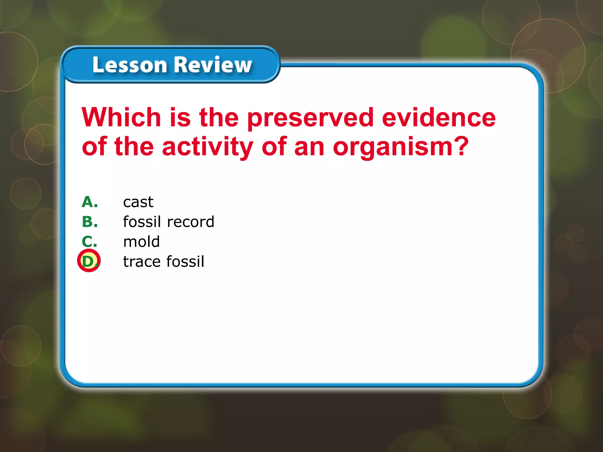 Lesson 1 – LR2
A. cast
B. fossil record
C. mold
D. trace fossil
Which is the preserved evidence
of the activity of an organism?
 