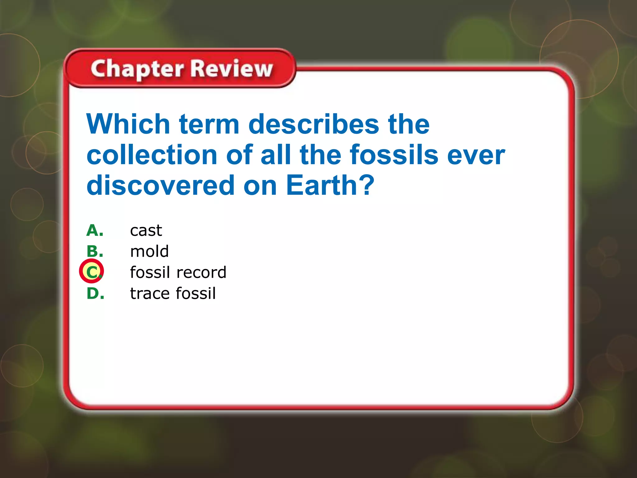 A. cast
B. mold
C. fossil record
D. trace fossil
Which term describes the
collection of all the fossils ever
discovered on Earth?
 