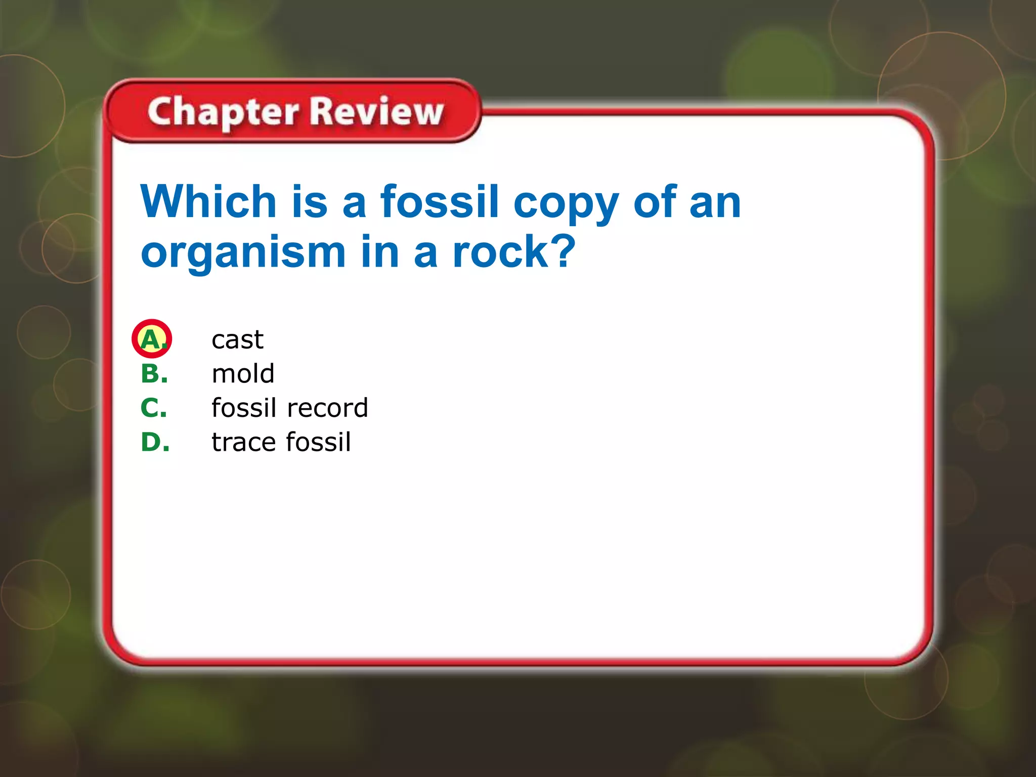 A. cast
B. mold
C. fossil record
D. trace fossil
Which is a fossil copy of an
organism in a rock?
 