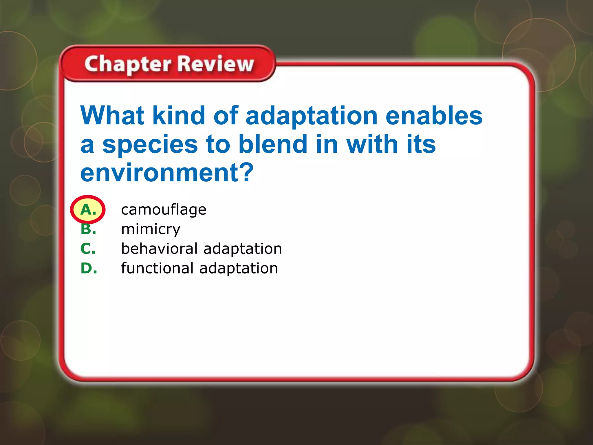 A. camouflage
B. mimicry
C. behavioral adaptation
D. functional adaptation
What kind of adaptation enables
a species to blend in with its
environment?
 
