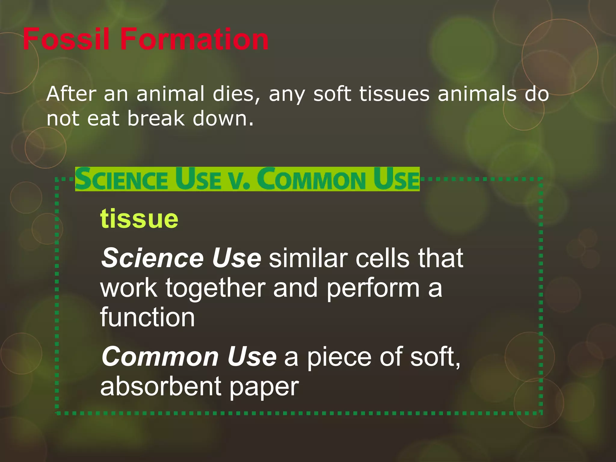 After an animal dies, any soft tissues animals do
not eat break down.
Fossil Formation
tissue
Science Use similar cells that
work together and perform a
function
Common Use a piece of soft,
absorbent paper
 