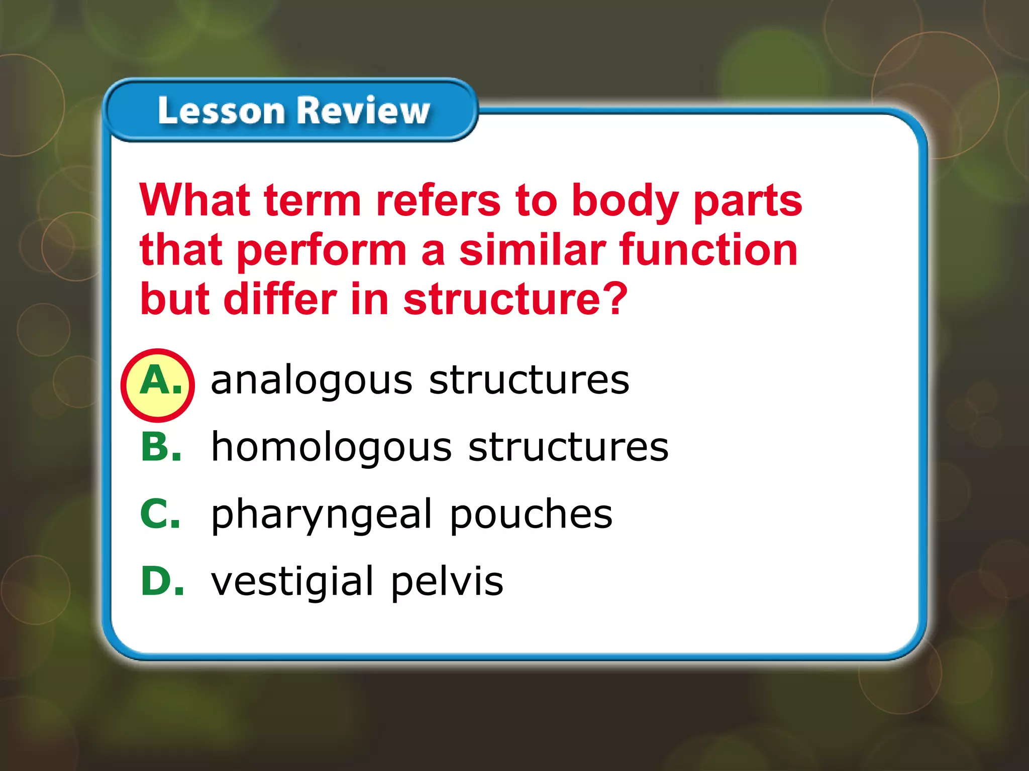 Lesson 3 – LR1
A. analogous structures
B. homologous structures
C. pharyngeal pouches
D. vestigial pelvis
What term refers to body parts
that perform a similar function
but differ in structure?
 