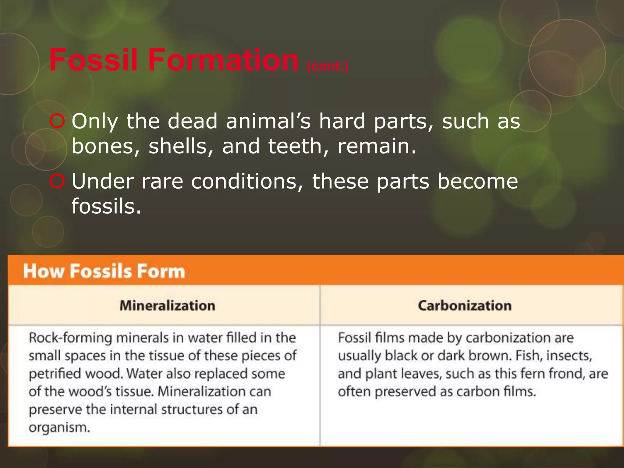  Only the dead animal’s hard parts, such as
bones, shells, and teeth, remain.
 Under rare conditions, these parts become
fossils.
Fossil Formation (cont.)
 