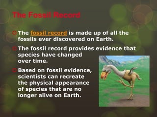  The fossil record is made up of all the
fossils ever discovered on Earth.
 The fossil record provides evidence that
spe...