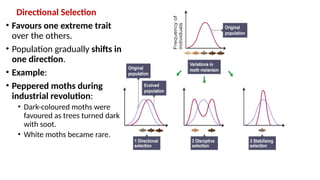 Chapter 6, Evolution Class XII NCERT and CBSE | PPTX