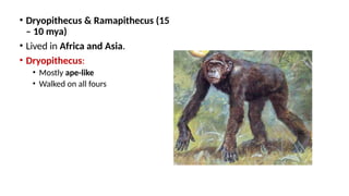 Chapter 6, Evolution Class XII NCERT and CBSE | PPTX