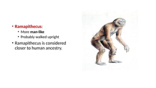 Chapter 6, Evolution Class XII NCERT and CBSE | PPTX