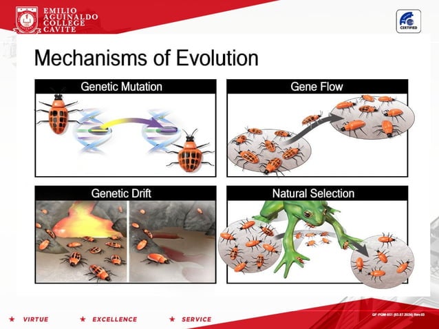 EVOLUTION THROUGH TIME GENERAL BIOLOGYIO.pptx