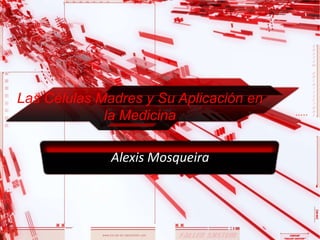 Las Células Madres y Su Aplicación en
la Medicina
Alexis Mosqueira
 