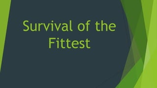Survival of the
    Fittest
 