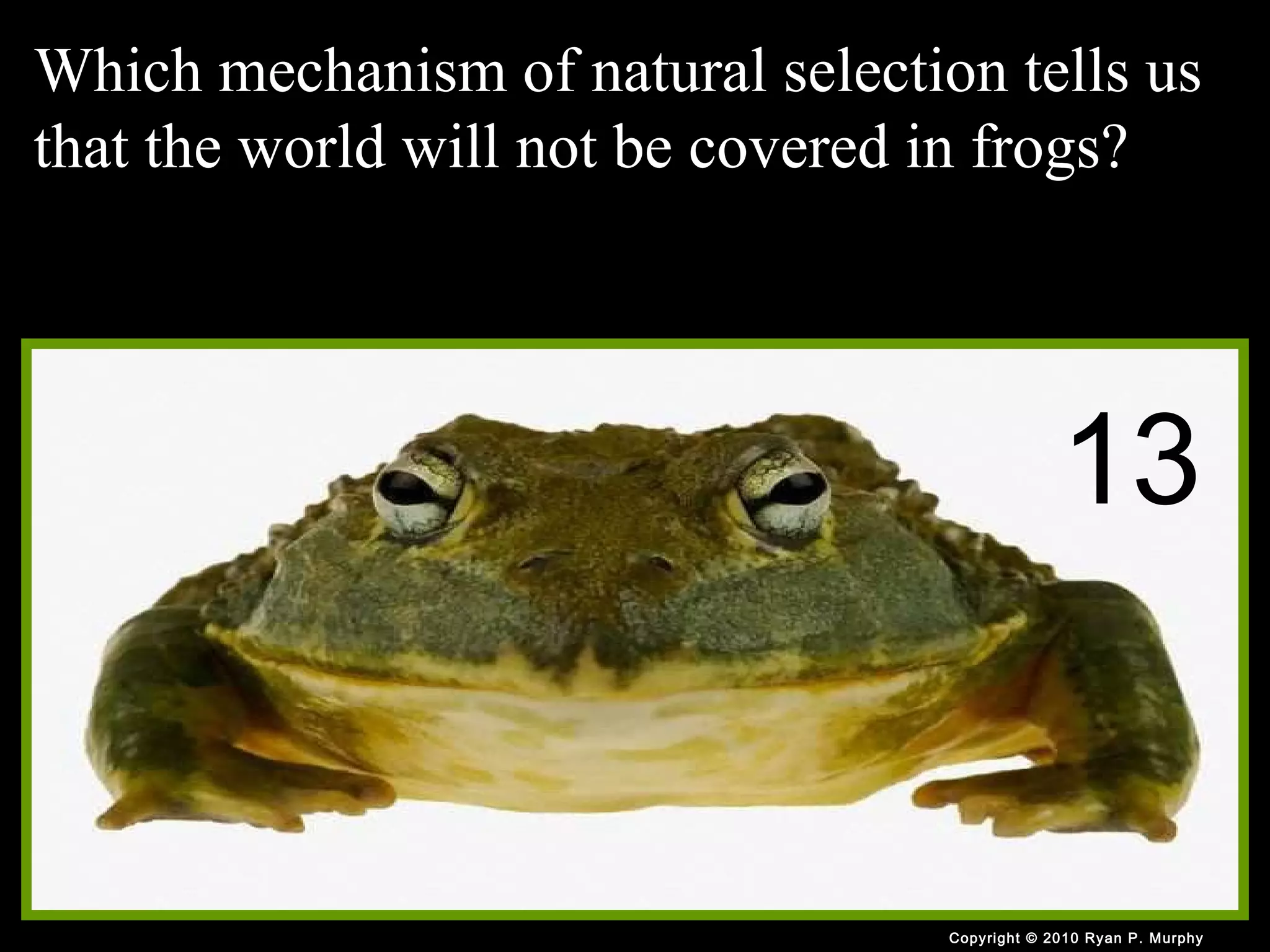 Evolution, Natural Selection PowerPoint Quiz, Game, Biology and Darwin ...