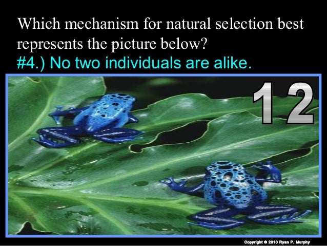Evolution Natural Selection Powerpoint Quiz Game Biology And Darwin Evolution Natural Selection Powerpoint Quiz Game Biology And Darwin