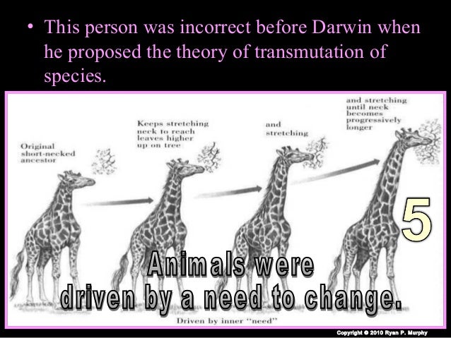 Natural Selection Mechanism Of Evolution Journal Natural Selection Mechanism Of Evolution Journal