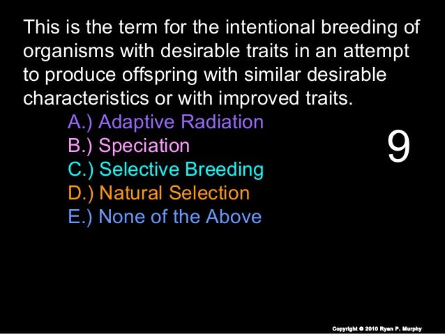 Natural Selection And Speciation Quiz Natural Selection And Speciation Quiz
