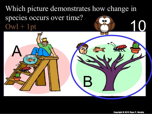 Natural Selection And Speciation Quiz Natural Selection And Speciation Quiz