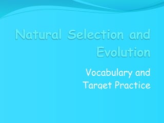 Natural Selection and
            Evolution
          Vocabulary and
          Target Practice
 