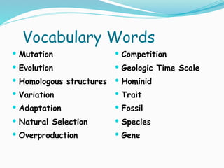 Evolution review ppt | KEY